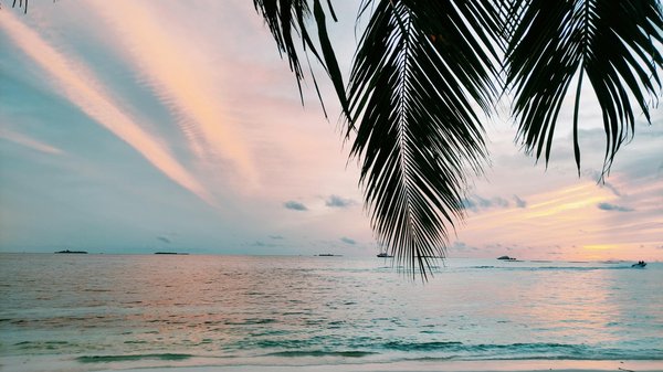 Quels sont les meilleurs itinéraires pour une randonnée dans les montagnes de la Sierra Nevada, Espagne?